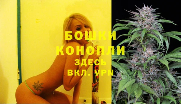 мяу мяу мука Волоколамск